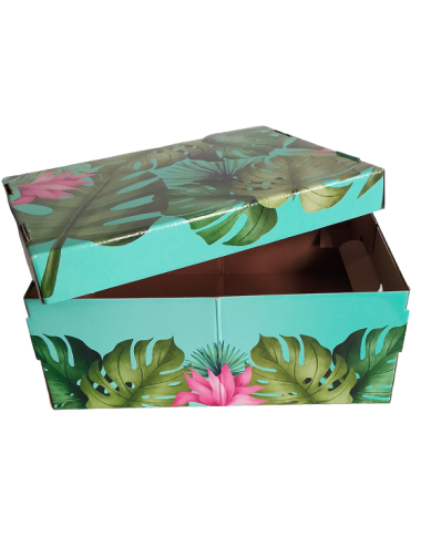 CAJAS MICROBOX CHICA 31 X...